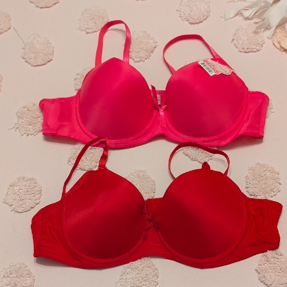 Mamia 36C Pink/Red Bra Set NWT